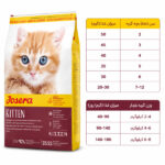 جوسرا کیتن
