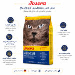 جوسرا مارینرس گربه