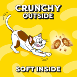تشویقی گربه دریمیز طعم ماهی سالمون - Salmon Dreamies cat treats - Image 4