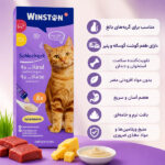 بستنی گربه وینستون با طعم گوشت گوساله و پنیر
