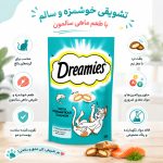 تشویقی گربه دریمیز طعم ماهی سالمون