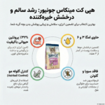 هپی کت مینکاس جونیور