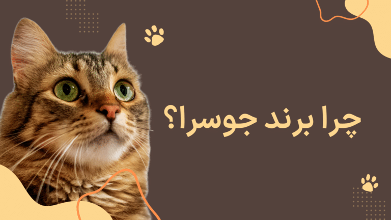چرا جوسرا را انتخاب کنیم
