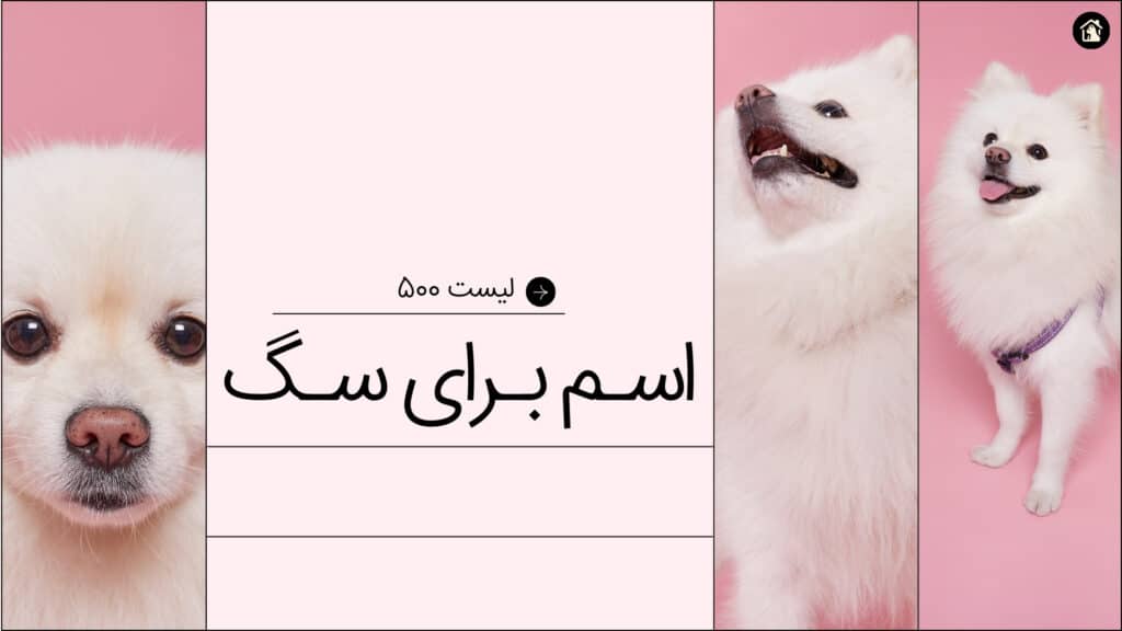 اسم برای سگ
