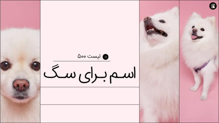 اسم برای سگ