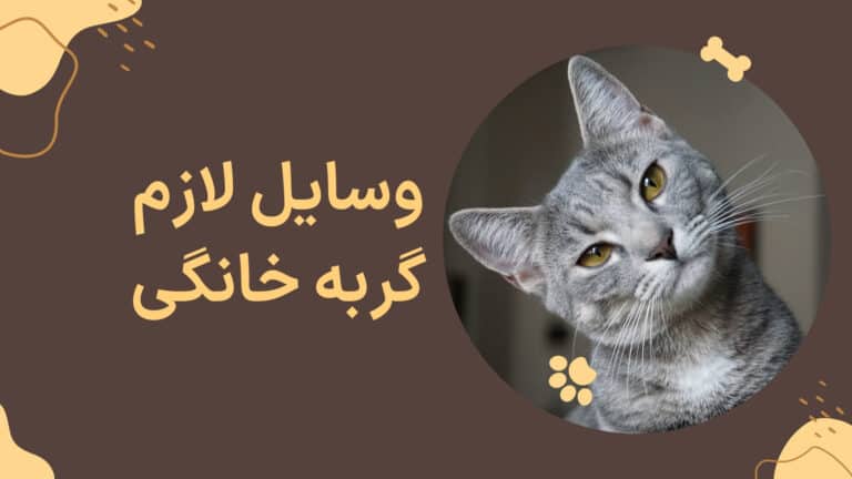 وسایل لازم گربه خانگی