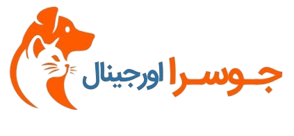 1 logo