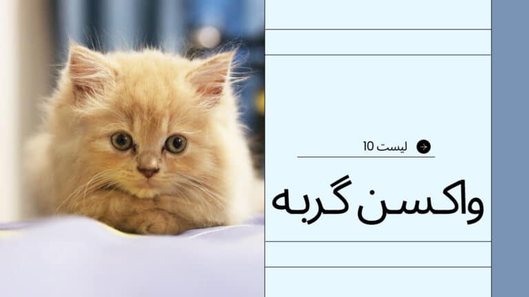 لیست 10 واکسن ضروری گربه