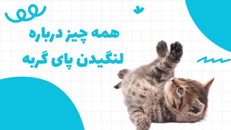 لنگیدن پای گربه