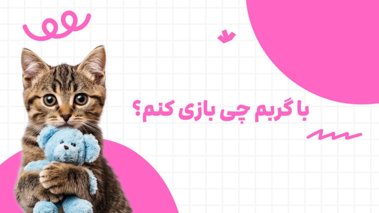 بازی کردن با گربه