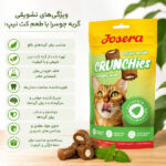 تشویقی گربه جوسرا با طعم کت نیپ