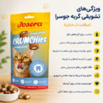 تشویقی گربه جوسرا کمک به سلامت و مراقبت از دندان