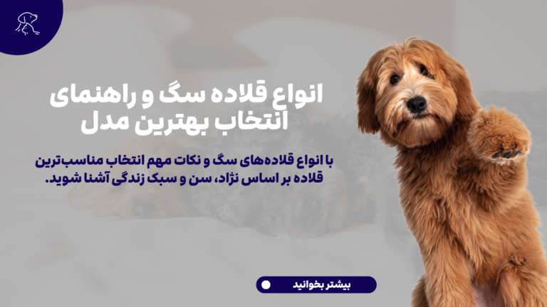 انواع قلاده سگ