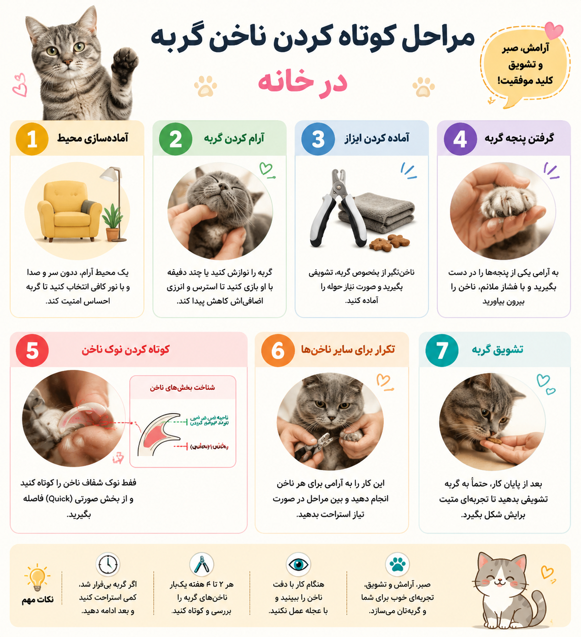 کوتاه کردن ناخن گربه 