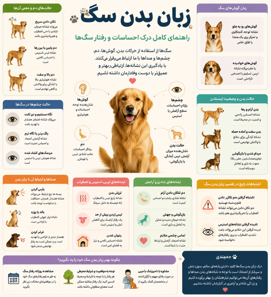 زبان بدن سگ