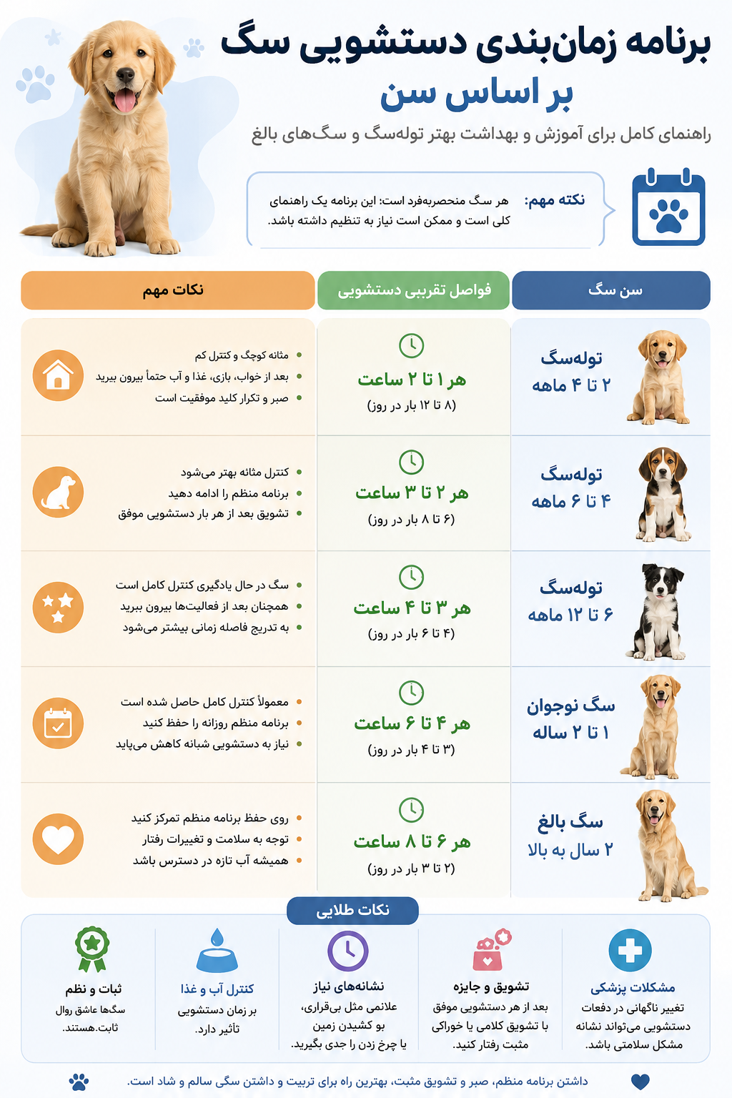 برنامه زمان‌بندی دستشویی سگ بر اساس سن
