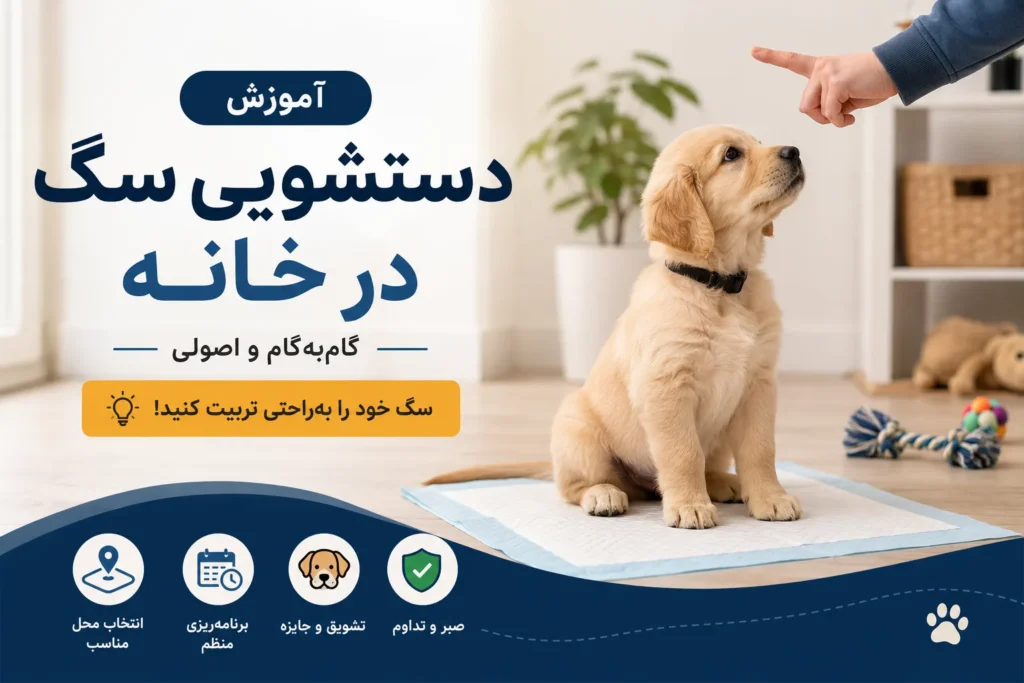 آموزش دستشویی سگ در خانه