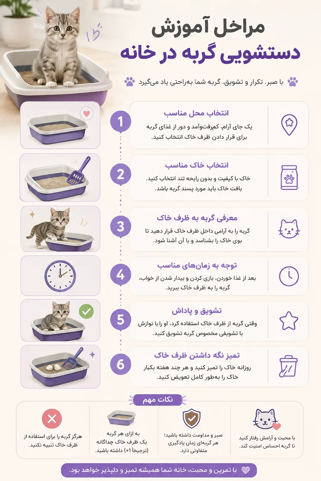 مراحل آموزش دستشویی گربه در خانه