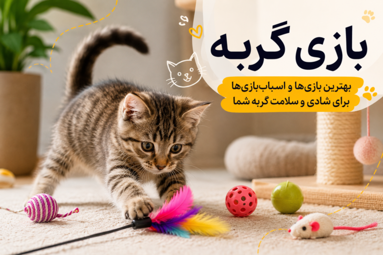 بازی با گربه