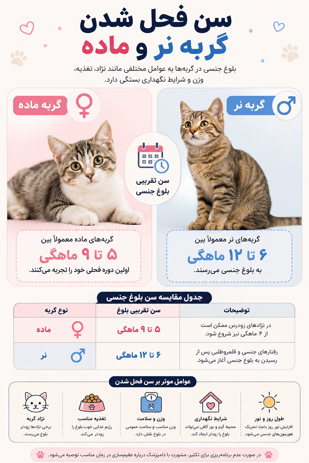 سن فحل شدن گربه نر و ماده