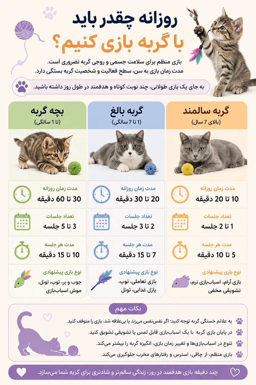 روزانه چقدر باید با گربه بازی کنیم؟