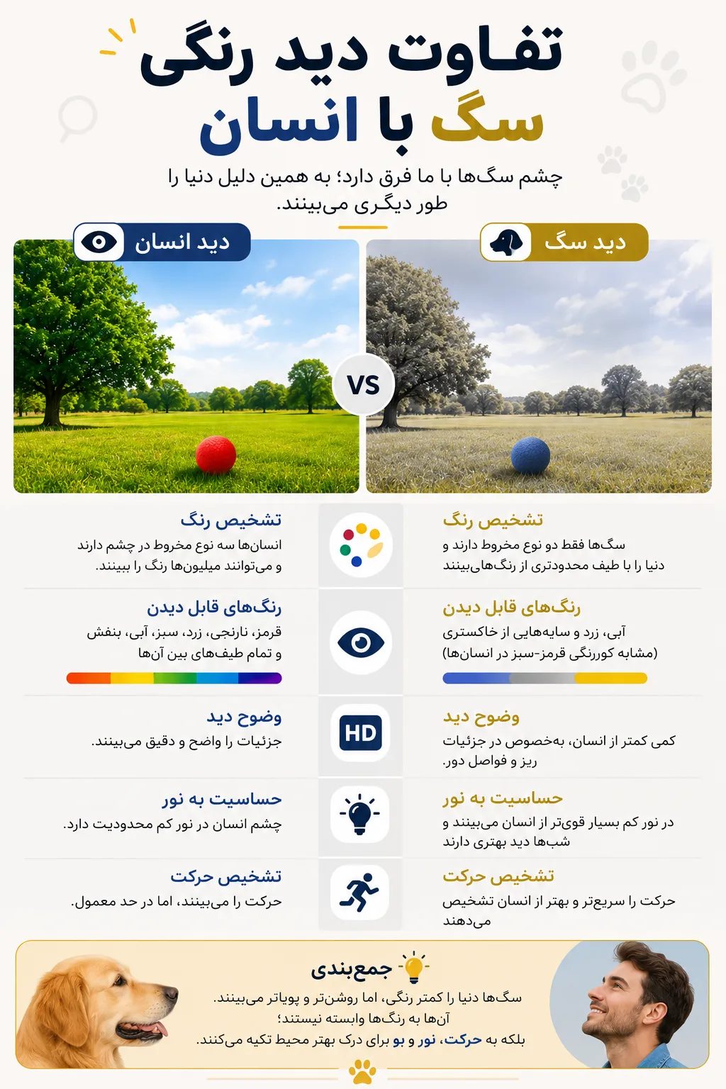 تفاوت دید رنگی سگ با انسان ا