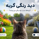 دید رنگی گربه؛ گربه ها دنیا را چه رنگی میبینند؟