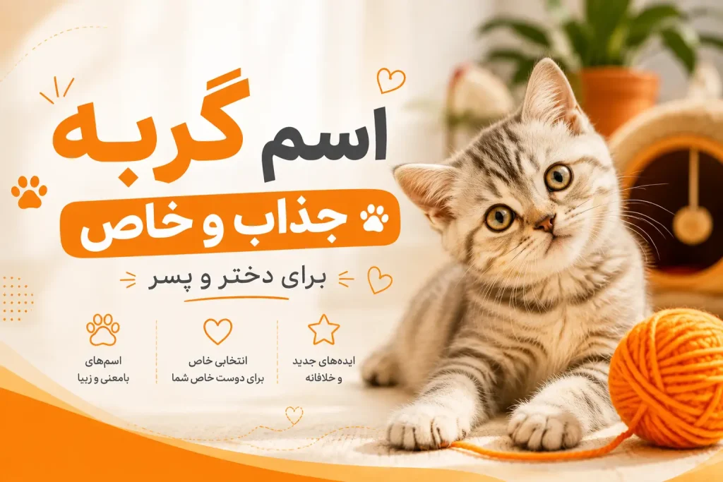 اسم گربه -جوسرا اورجینال