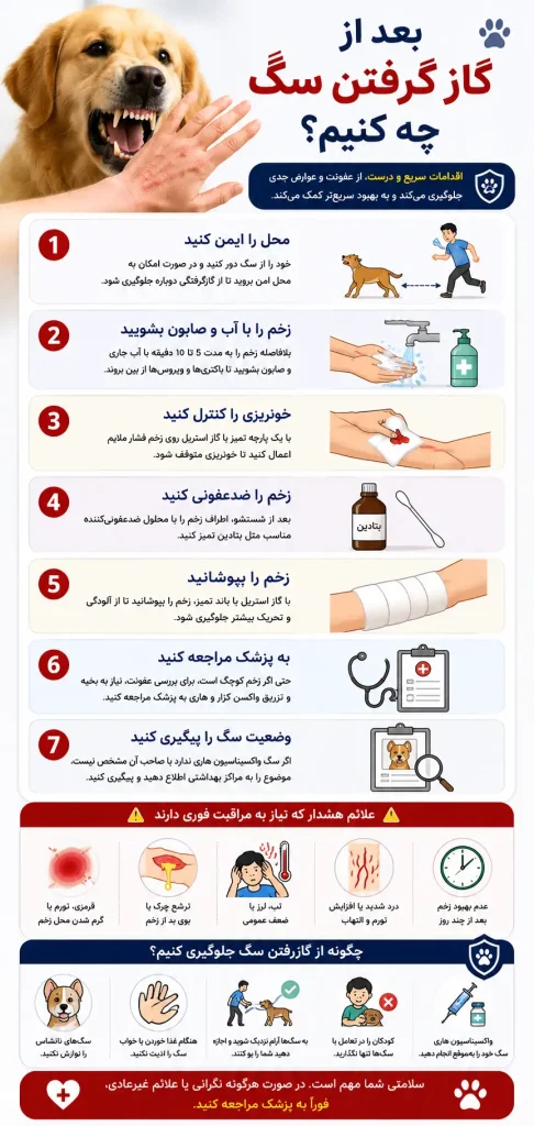 بعد از گاز گرفتن سگ چه کنیم؟