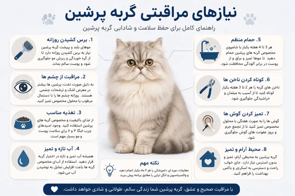 راهنمایی نیاز های مراقبتی گربه پرشین جوسرا اورجینال