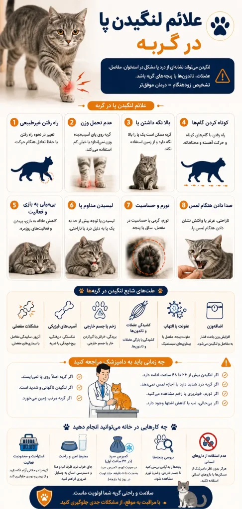 علائم لنگیدن پا در گربه جوسرا اورجینال