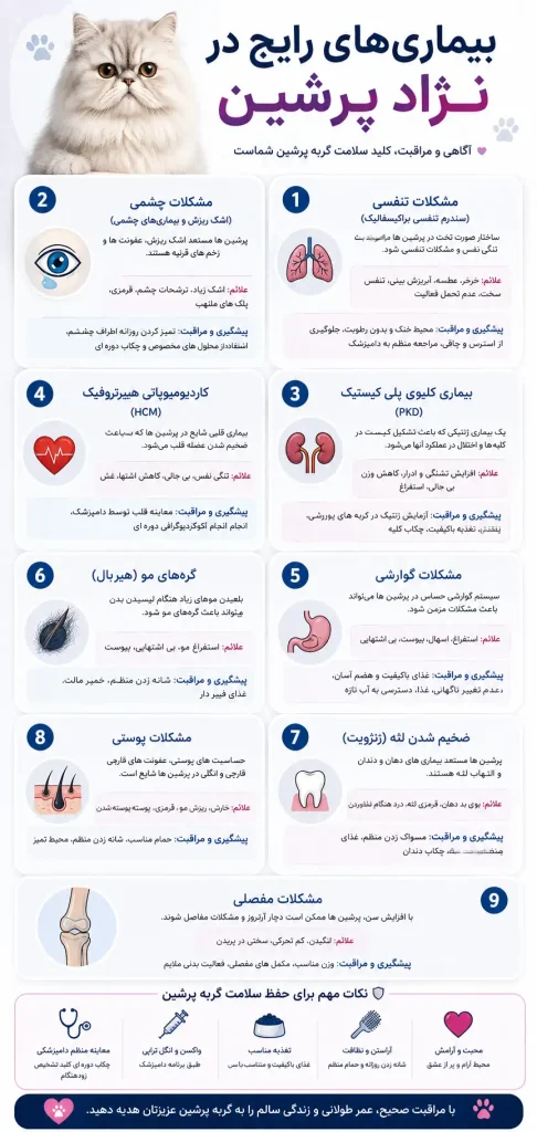 عکس راهنمایی بیماری‌های رایج در نژاد پرشین جوسرا
