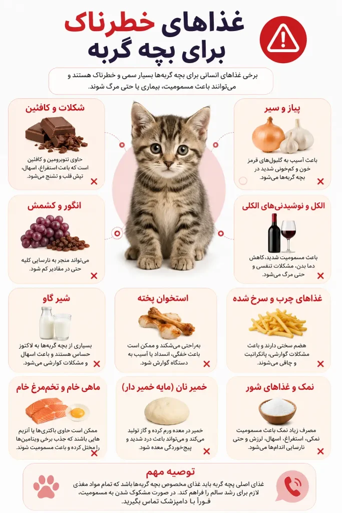 غذاهای خطرناک برای بچه گربه‌