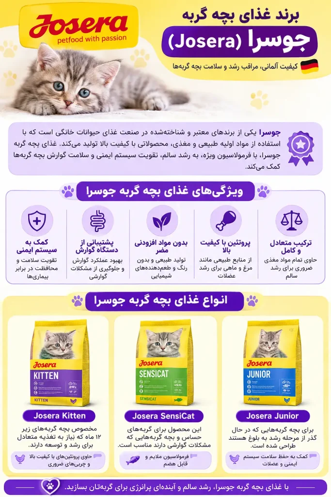 معرفی بهترین برند غذای بچه گربه
