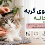 اصلاح موی گربه در خانه